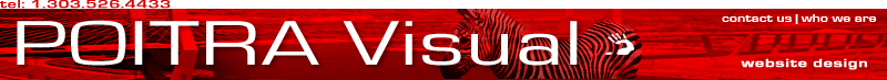 POITRA Visual Website Design Services
