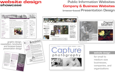 POITRA Visual - Website design services for small to medium size businesses, companies and organizations. Graphic design, newsletter and brochure design, and presentation design services.