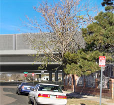 POITRA Visual ground simulation of I-70 SDEIS Alternative.