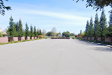 Ground view Photosimulations of the proposed I-5 and Otto Drive Interchange (View East)