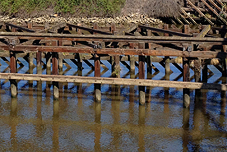 Photosimulation of the proposed Navy Drive Bridge over San Joaquin River