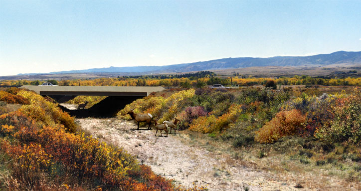 Photo-realistic photo simulation and design visualization services by POITRA Visual