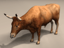 3D Model Ox with Upturned Horns (brown)