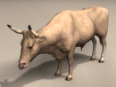 3D Model Ox with Upturned Horns (tan)