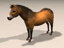 3D Model Exmoor Pony (Adult Female) (brown with grey muzzle)