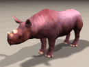 3D Model African Black Rhinoceros (Juvenile Male)