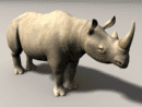 3D Model Prehistoric Narrow Nose Rhinoceros, Stepphanorhinus Hemotoechus, Medium Resolution (Adult Male)