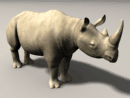 3D Model Prehistoric Narrow Nose Rhinoceros, Stepphanorhinus Hemotoechus (Adult Male)