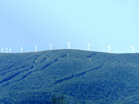 Click to view animation for proposed windfarm