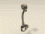 3D Model Human Skull, Vertebral Column, and Pelvis Set (3D Model Skull, Vertebral Column, and Pelvis