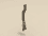 3D Model Human Skeleton Vertebral Column (3D Model Skeleton Vertebral Column